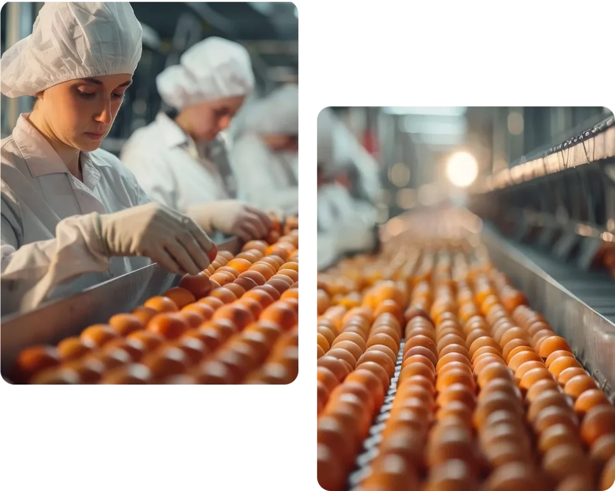 Food Manufacturing Image